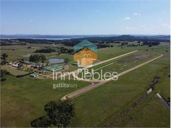 https://www.gallito.com.uy/chacra-con-hipodromo-en-venta-en-punta-ballena-inmuebles-27096723