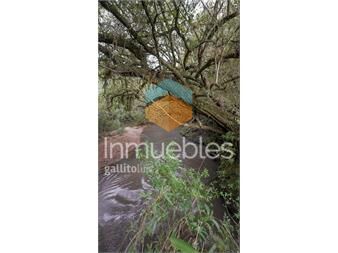 https://www.gallito.com.uy/oportunidad-chacra-20-ha-venta-en-las-sierras-de-garzon-inmuebles-25648898
