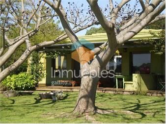 https://www.gallito.com.uy/2-el-caño-5-has-tula-suarez-inmuebles-27156289