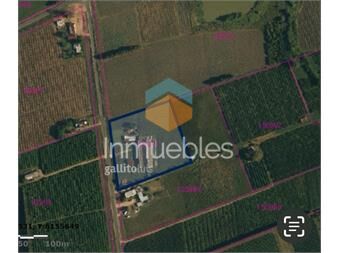 https://www.gallito.com.uy/venta-local-galpon-deposito-pedro-de-mendoza-y-ruta-32-inmuebles-27479205