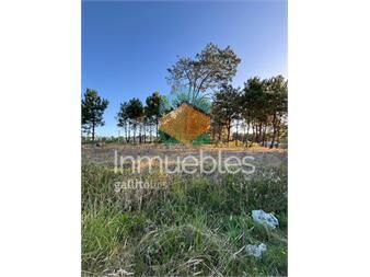 https://www.gallito.com.uy/terrenos-en-venta-financiados-ultimos-en-montes-inmuebles-27484873