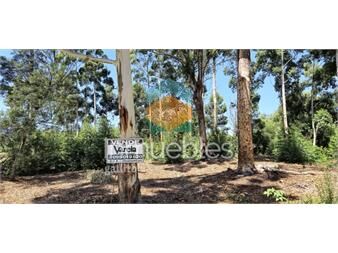 https://www.gallito.com.uy/tres-solares-en-venta-2218-m2-a-800-metros-de-inmuebles-27484881