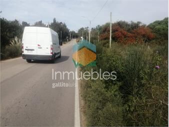 https://www.gallito.com.uy/terreno-sobre-cno-los-horneros-frente-a-inmuebles-27484914