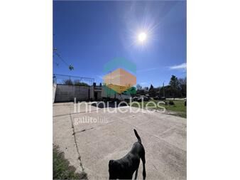 https://www.gallito.com.uy/terreno-en-venta-el-pinar-al-sur-inmuebles-27484939