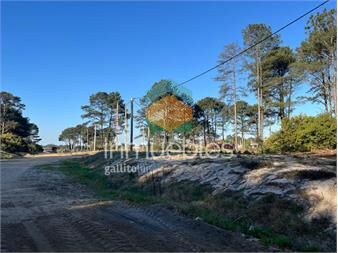 https://www.gallito.com.uy/venta-terrenos-solymar-entrega-s-200000-y-en-inmuebles-27484944