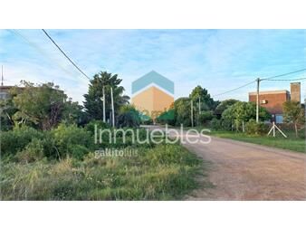 https://www.gallito.com.uy/terreno-en-venta-san-luis-caribe-oriental-inmuebles-27484959