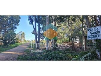 https://www.gallito.com.uy/terreno-en-santa-ana-a-7-cuadras-de-playa-inmuebles-27484961