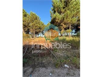 https://www.gallito.com.uy/terreno-financiado-ultimos-en-montes-de-solymar-inmuebles-27484973