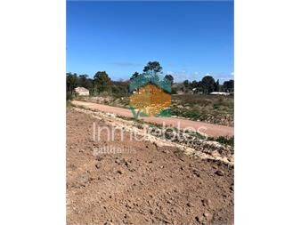 https://www.gallito.com.uy/venta-de-terrenos-financiados-a-pura-cuota-en-sur-inmuebles-27484979