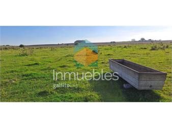 https://www.gallito.com.uy/campo-108-has-proximo-a-san-jacinto-inmuebles-27484997