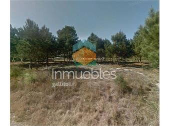 https://www.gallito.com.uy/venta-terrenos-solymar-entrega-s-200000-mas-inmuebles-27485010