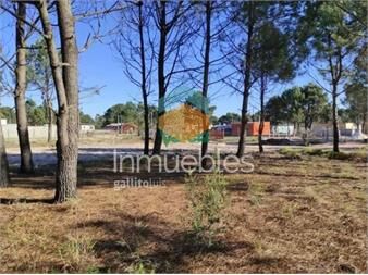 https://www.gallito.com.uy/terrenos-financiados-a-pura-cuota-prox-suc-inmuebles-27485014
