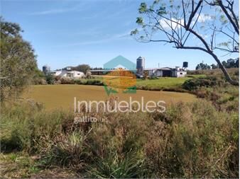 https://www.gallito.com.uy/venta-granja-avicola-de-5-6-has-sobre-ruta-11-inmuebles-27485017