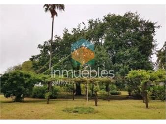 https://www.gallito.com.uy/chacra-en-venta-de-5-has-proxima-nueva-palmira-inmuebles-27485020
