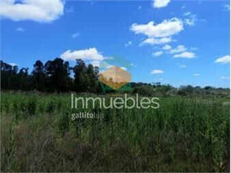 https://www.gallito.com.uy/venta-chacra-pando-villa-jardines-de-31250-inmuebles-27485038