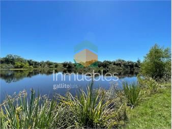 https://www.gallito.com.uy/campo-de-91-has-en-pando-con-costa-sobre-el-inmuebles-27485039