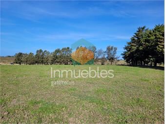 https://www.gallito.com.uy/chacra-a-la-venta-en-atlantida-inmuebles-27485095