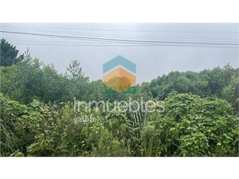 https://www.gallito.com.uy/venta-terreno-montes-de-solymar-inmuebles-27485113