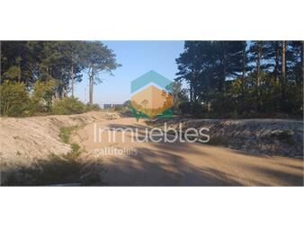 https://www.gallito.com.uy/terrenos-en-venta-en-montes-de-solymar-nuevo-inmuebles-27485134