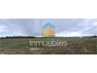 https://www.gallito.com.uy/venta-de-chacra-ruta-11-km152-de-3-5-has-a-inmuebles-27485154