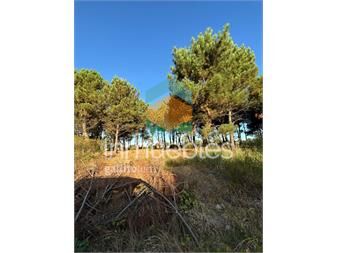 https://www.gallito.com.uy/terrenos-en-venta-financiados-ultimos-en-nilo-inmuebles-27485159