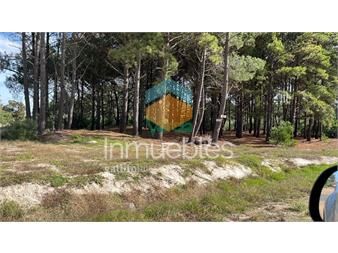 https://www.gallito.com.uy/venta-de-terrenos-en-solymar-inmuebles-27485160