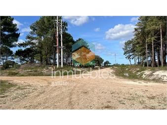 https://www.gallito.com.uy/venta-de-terrenos-financiados-solymar-prox-a-inmuebles-27485165