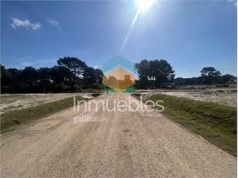 https://www.gallito.com.uy/venta-de-terreno-financiado-ultimo-montes-de-inmuebles-27485167
