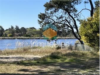 https://www.gallito.com.uy/terreno-de-5608-m2-pinar-sur-en-venta-inmuebles-27485180