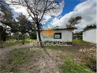 https://www.gallito.com.uy/terreno-con-mejora-en-parque-del-plata-norte-inmuebles-27485192