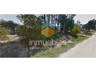 https://www.gallito.com.uy/terrenos-financiados-en-salinas-entrega-y-saldo-inmuebles-27485204