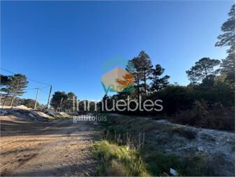 https://www.gallito.com.uy/venta-terreno-montes-de-solymar-uss-20000-de-de-inmuebles-27485244