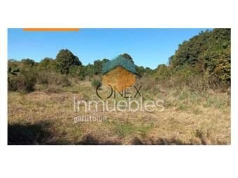 https://www.gallito.com.uy/venta-de-chacra-en-cañada-bellacas-inmuebles-27485438