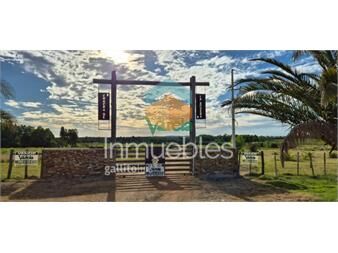 https://www.gallito.com.uy/chacras-de-la-bodega-sobre-la-ruta-80-km73-inmuebles-27485452