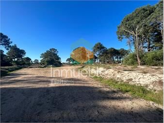 https://www.gallito.com.uy/nuevo-fraccionamiento-terrenos-en-venta-en-inmuebles-27485454