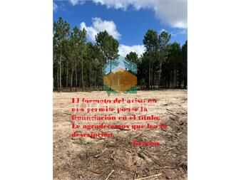 https://www.gallito.com.uy/venta-terreno-solymarr-entrega-s-200000-mas-de-inmuebles-27485461