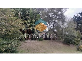 https://www.gallito.com.uy/muy-buen-entorno-inmuebles-26297371