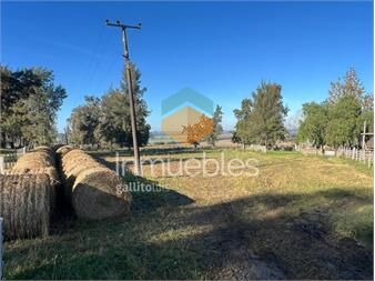 https://www.gallito.com.uy/venta-de-campo-6ha-sobre-ruta-11-km-146-inmuebles-27485522