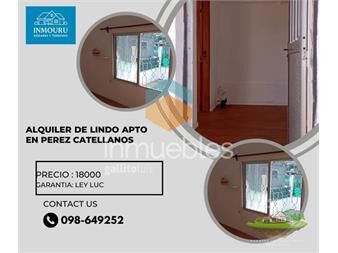 https://www.gallito.com.uy/alquilo-lindo-apto-en-perez-castellanos-inmuebles-27485691