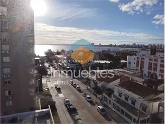 https://www.gallito.com.uy/apartamento-en-venta-en-lux-tower-punta-del-inmuebles-23640210