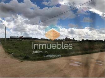 https://www.gallito.com.uy/terreno-con-excelente-ubicacion-sobre-ruta-1-inmuebles-26165372