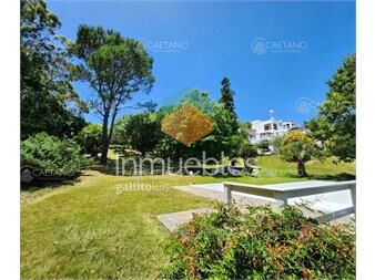 https://www.gallito.com.uy/venta-casa-posada-10-apartamentos-punta-inmuebles-24749597