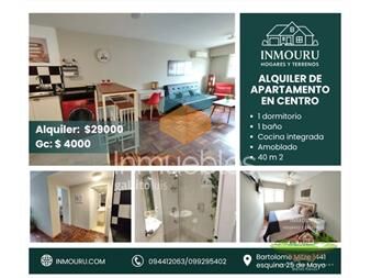 https://www.gallito.com.uy/alquiler-de-apartamento-amoblado-en-el-centro-inmuebles-27489361