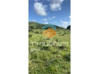 https://www.gallito.com.uy/lote-de-10000-m2-en-proyecto-tekopora-sierras-de-lavallej-inmuebles-27485271