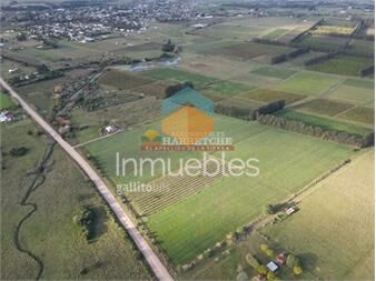 https://www.gallito.com.uy/chacra-en-los-cerrillos-10-has-aguada-a-del-inmuebles-27489416