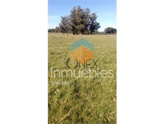 https://www.gallito.com.uy/hermosa-chacra-de-5-ha-en-zanja-de-chavez-a-15-km-inmuebles-27485436