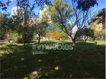 https://www.gallito.com.uy/terreno-en-maldonado-atencion-inversores-inmuebles-27489725