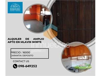 https://www.gallito.com.uy/alquilo-amplio-apartamento-en-malvin-norte-inmuebles-27489841