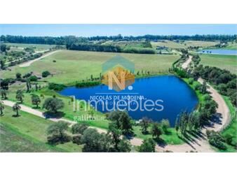 https://www.gallito.com.uy/terreno-en-venta-en-barrio-privado-laguna-inmuebles-27490068