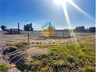 https://www.gallito.com.uy/venta-de-terreno-logistico-ruta-1-ecilda-pullier-inmuebles-27490101
